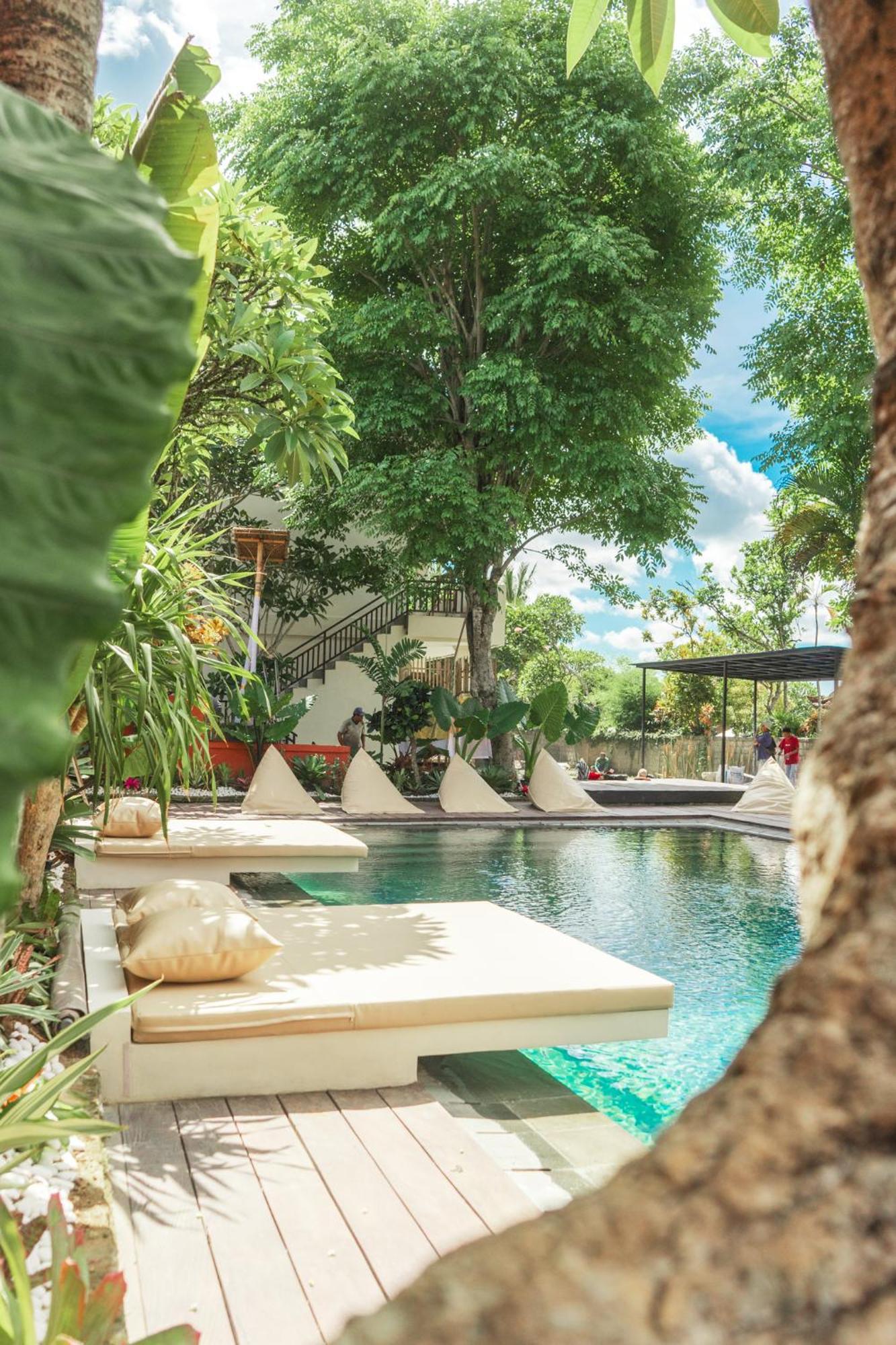 Savanna Ubud